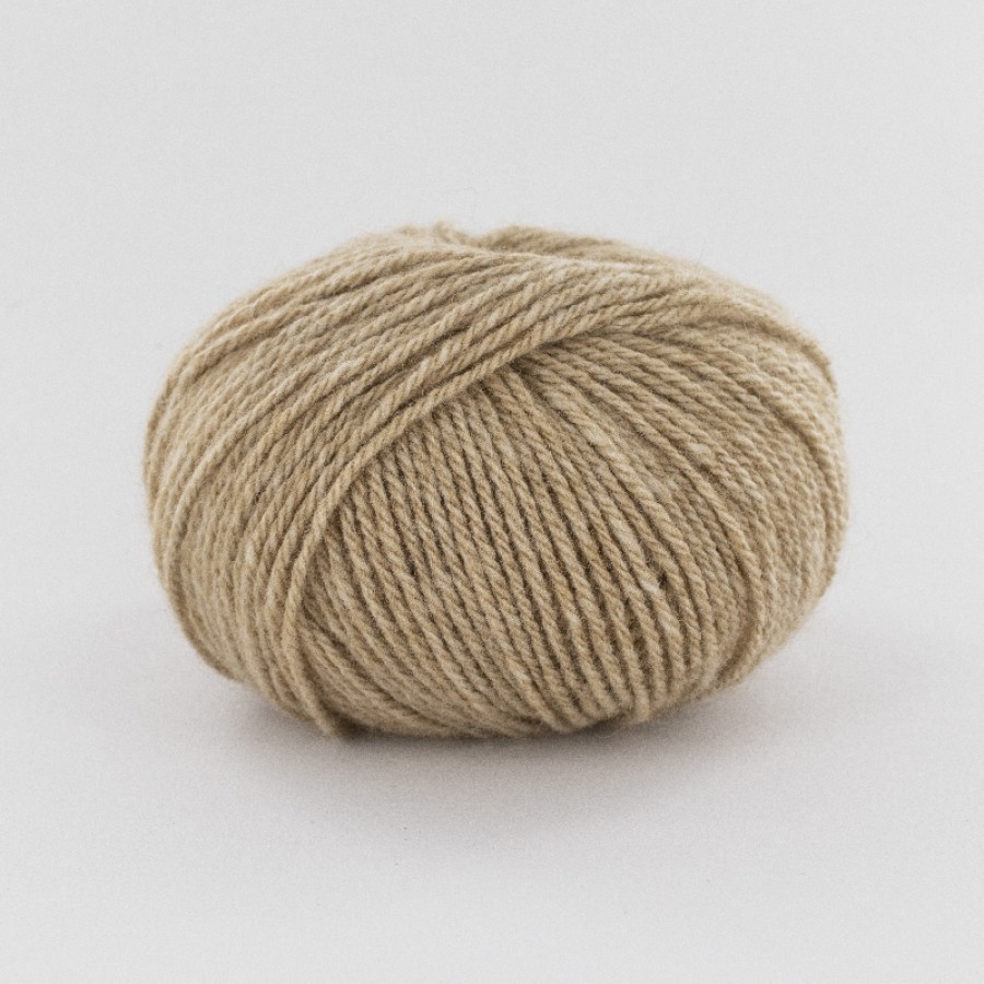 Fonty Urga - 05 Camel